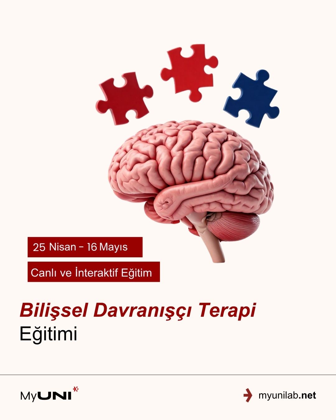 Bilişsel Davranışçı Terapi Eğitimi